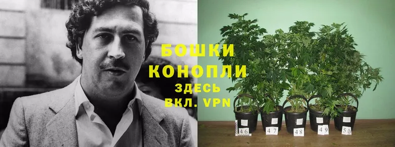 Каннабис Bruce Banner  Луза 